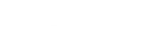 Cavli Wireless logo